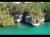 Plage du mexique à Xel-Ha les Caraïbes
