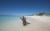 CUBA, Cayo Largo Playa Pariso - les deux plus belles plages de cayo largo font partie d'une rserve naturelle, proche des htels. le sable blanc de playa sirena reste frais malgr la forte chaleur au soleil. une bonne nouvelle pour les toiles de mer orange vif qui vivent le long du rivage turquoise.  playa paraiso, vous pouvez marcher des centaines de mtres dans la mer et ses eaux cristallines. cayo largo est un des rares endroits nuturistes  cuba..