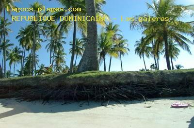 Plages de Las galeras, plage de l'htel, REPUBLIQUE DOMINICAINE