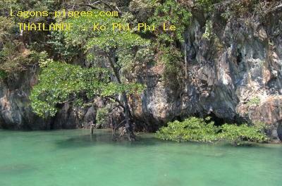 Plages de Ko Phi Phi Le, eau turquoise et mangrove, THAILANDE