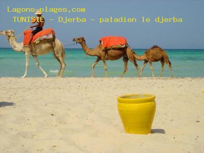 Plages de Djerba - Le djerba, TUNISIE