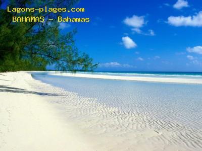 Plages de Classique plage des Bahamas, BAHAMAS