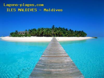 Plage des MALDIVES  Maldives