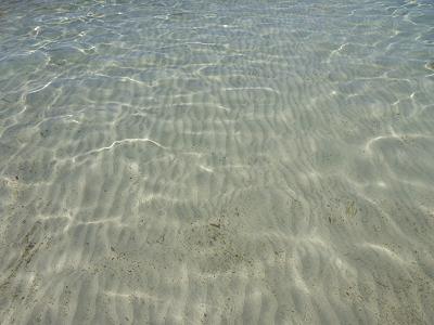 Plage de la france  Ile de Porquerolles plage d'argent eau transparente